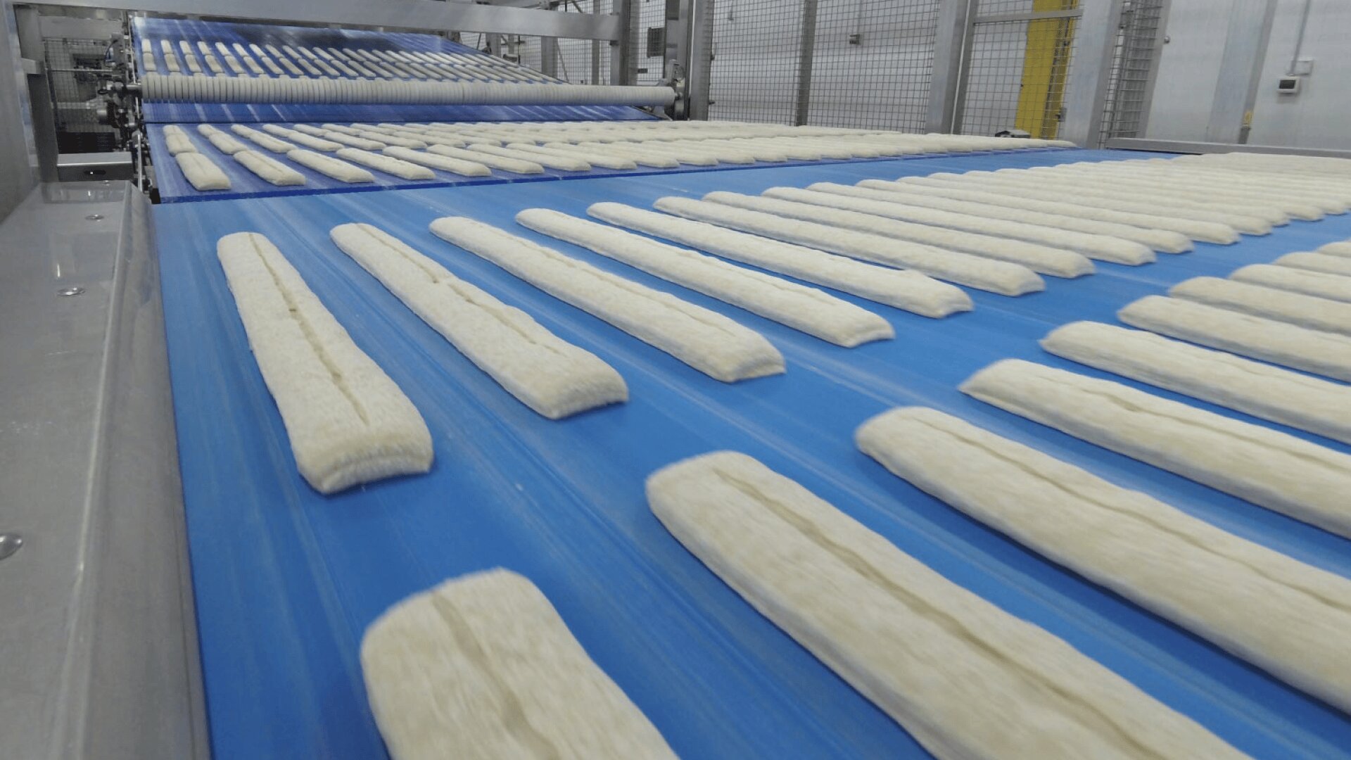Rows of unbaked dough sticks are lined up on a blue conveyor belt inside a food processing facility, moving toward an industrial baking or processing machine.