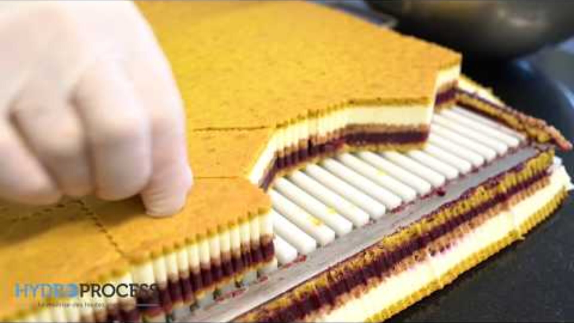 A gloved hand lifts a layered pastry with yellow, white, and purple layers, cut into rectangles by a machine. The HYDROPROCESS logo is visible in the corner.