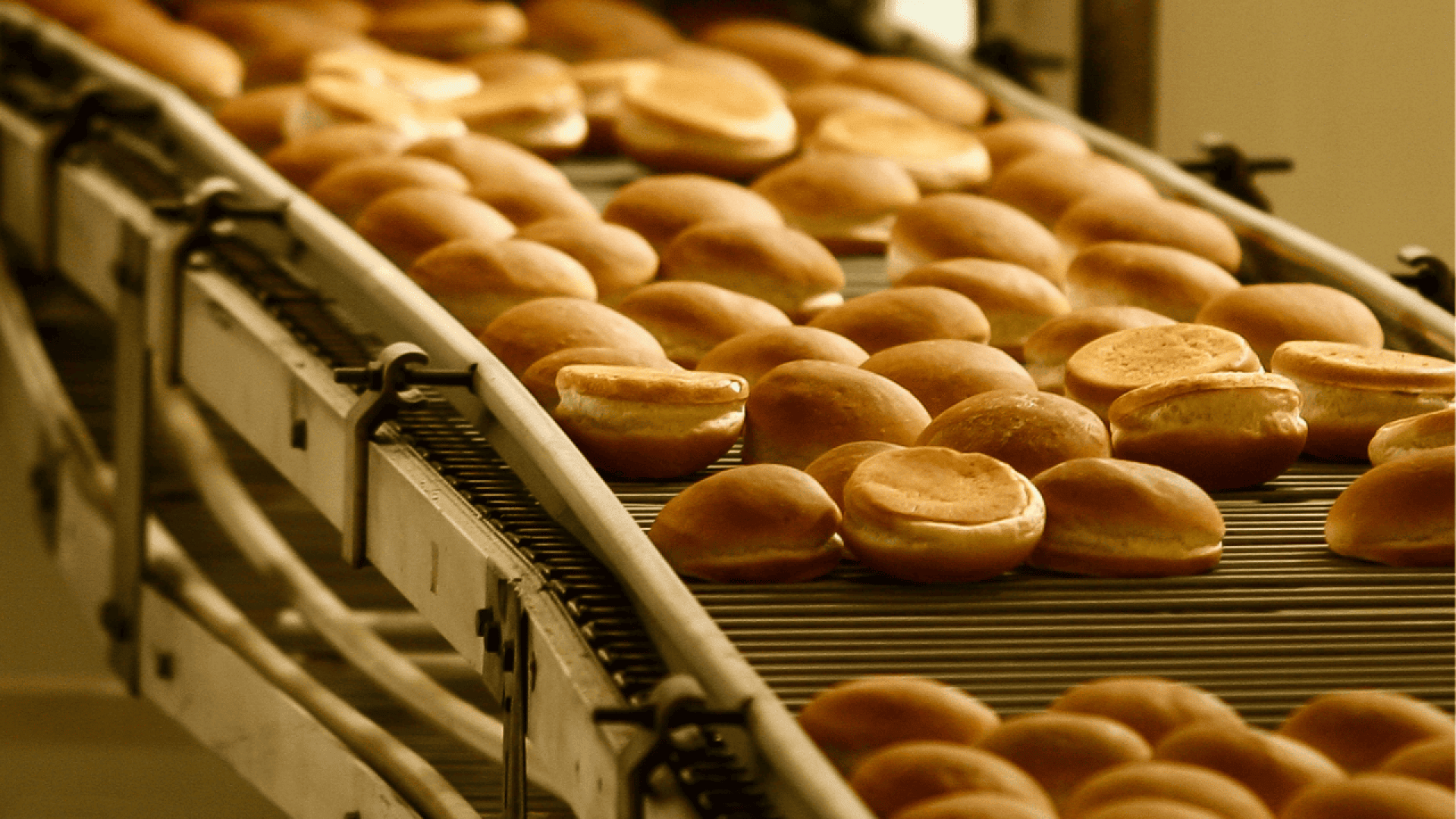 Rows of round bread rolls move along a metal conveyor belt in a bakery, suggesting mass production of baked goods.