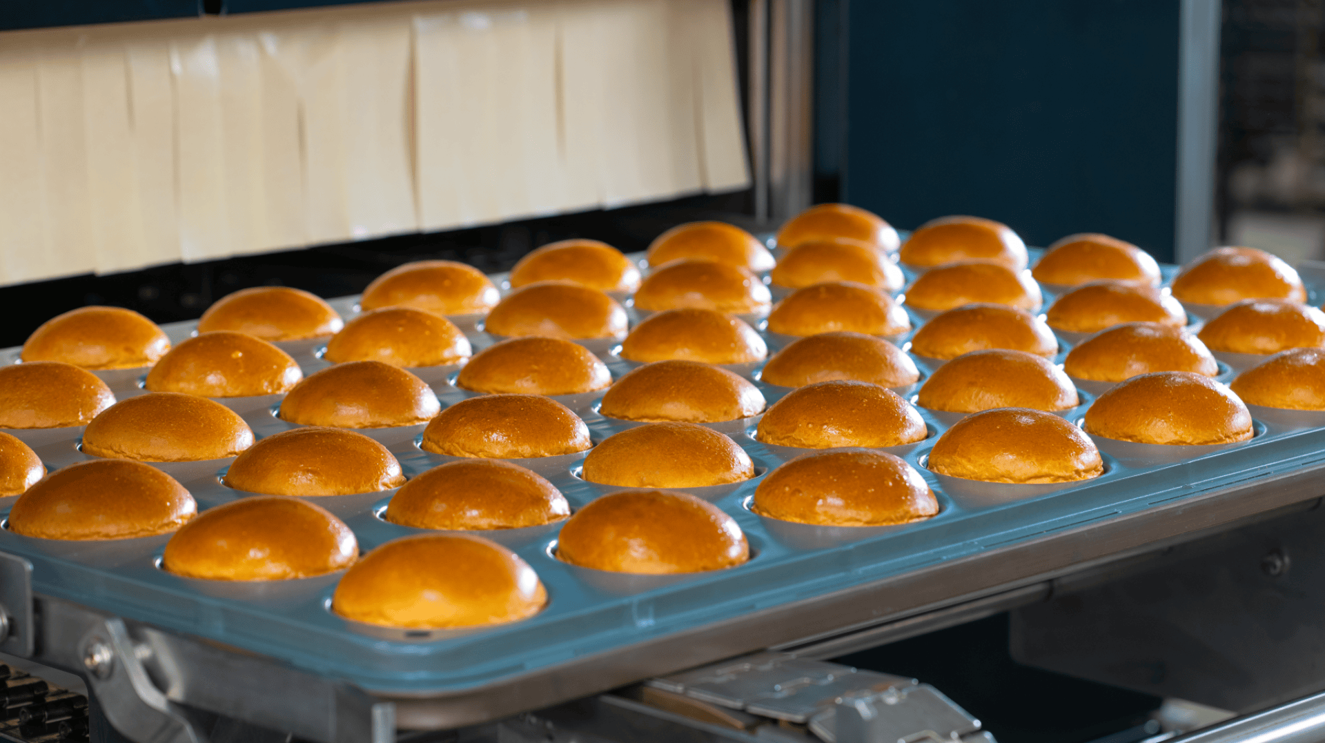 A tray of freshly baked, shiny golden brown buns sits on an industrial oven rack in a bakery setting, with rows of dough in the background.