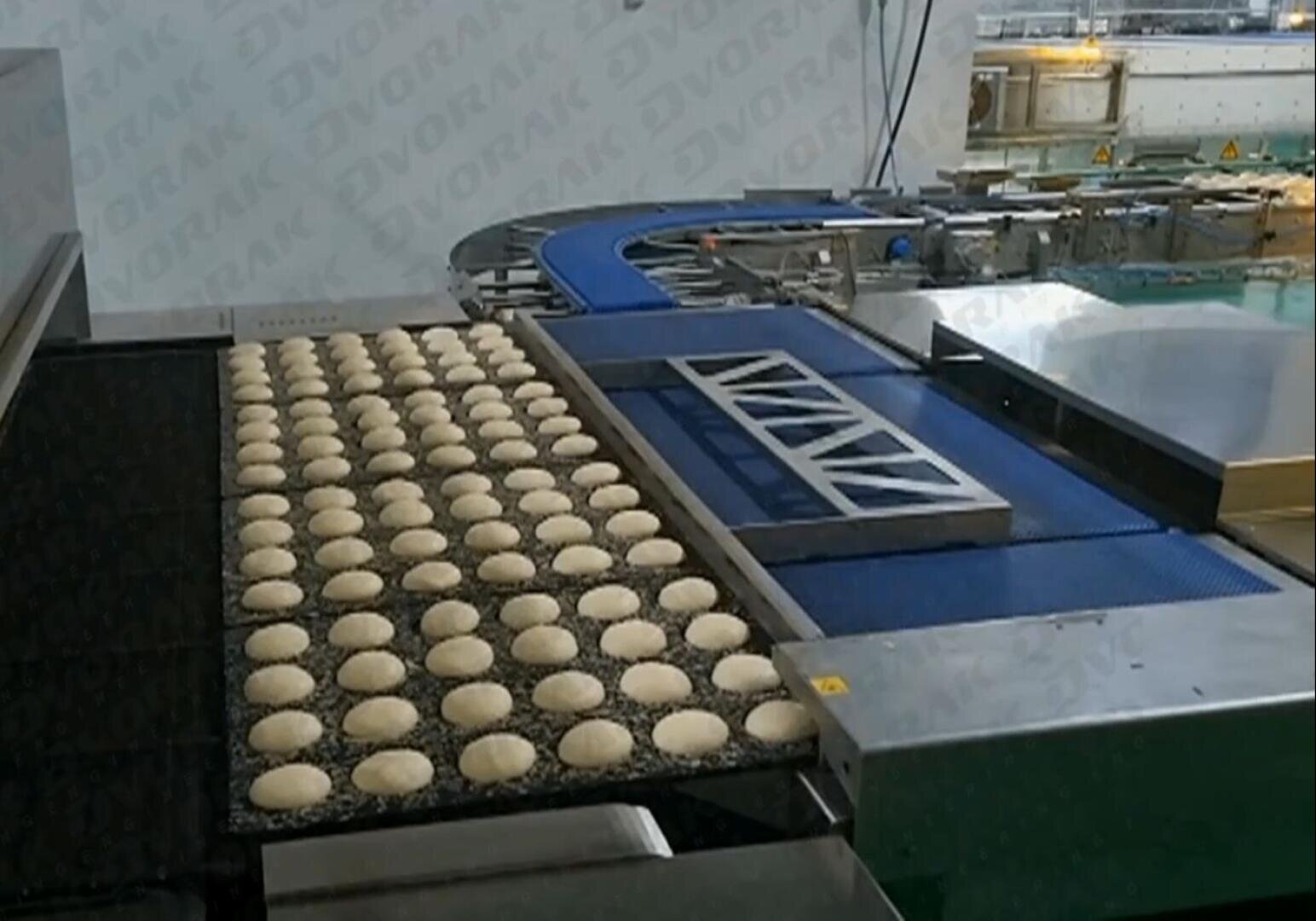 Rows of round dough pieces are arranged on a conveyor belt in an industrial bakery, moving through automated machinery for processing.