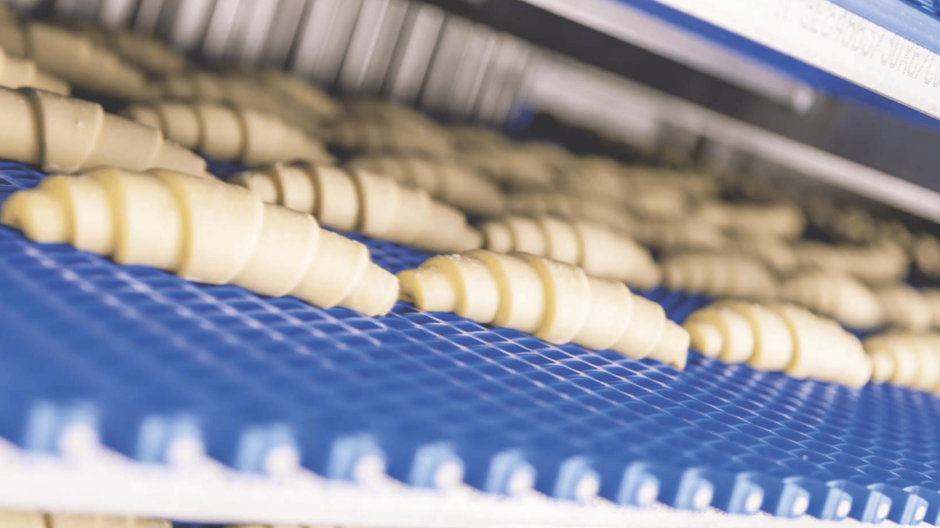 Auf einem blauen Förderband in einer industriellen Backstube liegen reihenweise ungekochte Croissants, bereit zum Backen.