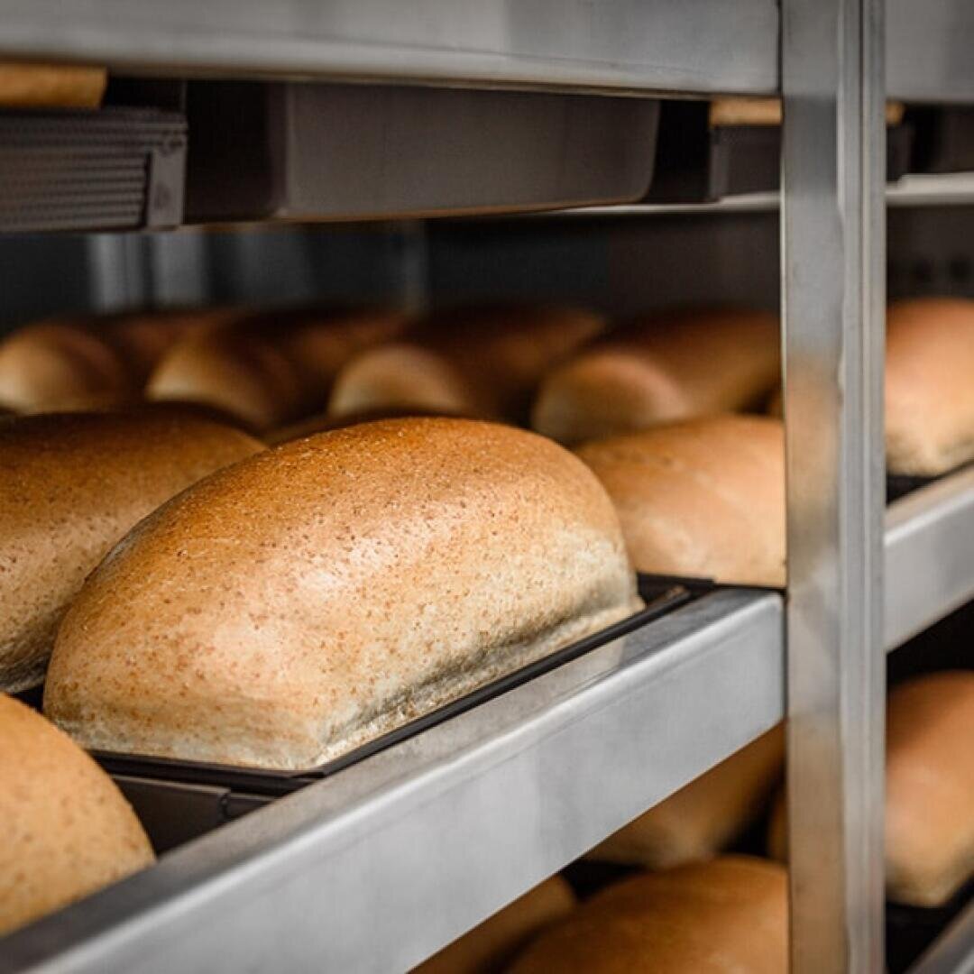 Frisch gebackene Brotlaibe, die in Metallwannen auf Gestellen in einer Bäckerei abkühlen, mit einer goldbraunen Kruste auf jedem Laib.