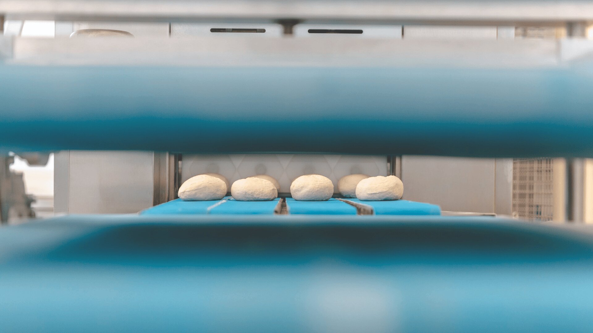 Fünf Teigkugeln liegen in Abständen auf einem blauen Förderband in einer industriellen Brotbackmaschine, die durch Metall- und Kunststoffteile betrachtet wird.