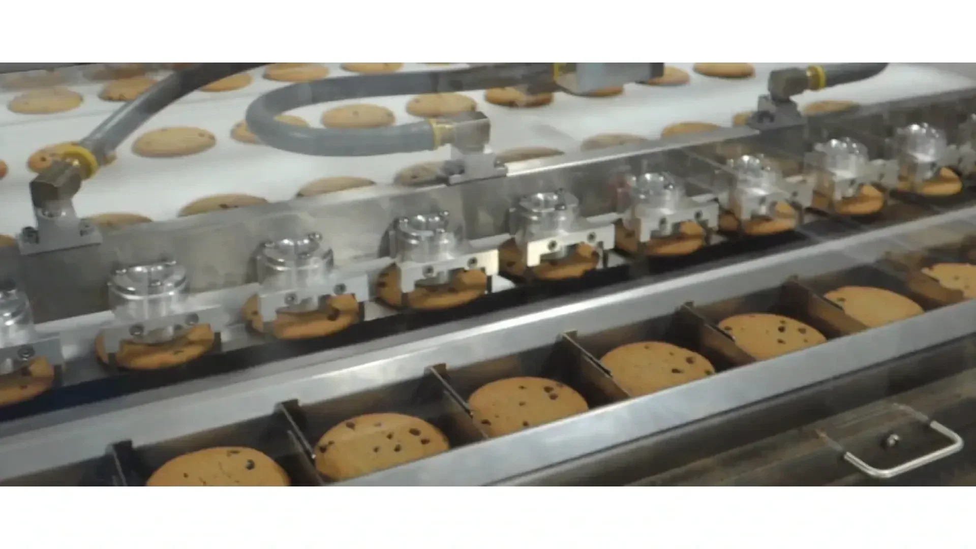 Industrielle Keksproduktionslinie mit Keksen, die sich auf Förderbändern bewegen, unter Metallmaschinen hindurchlaufen und für die Verpackung in einzelne Schalen sortiert werden.