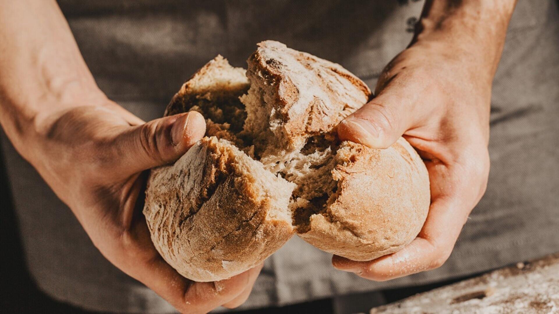 A person breaking a round, rustic loaf of bread in half with their hands, wearing a grey apron. The bread has a crusty exterior and a soft, airy interior.
