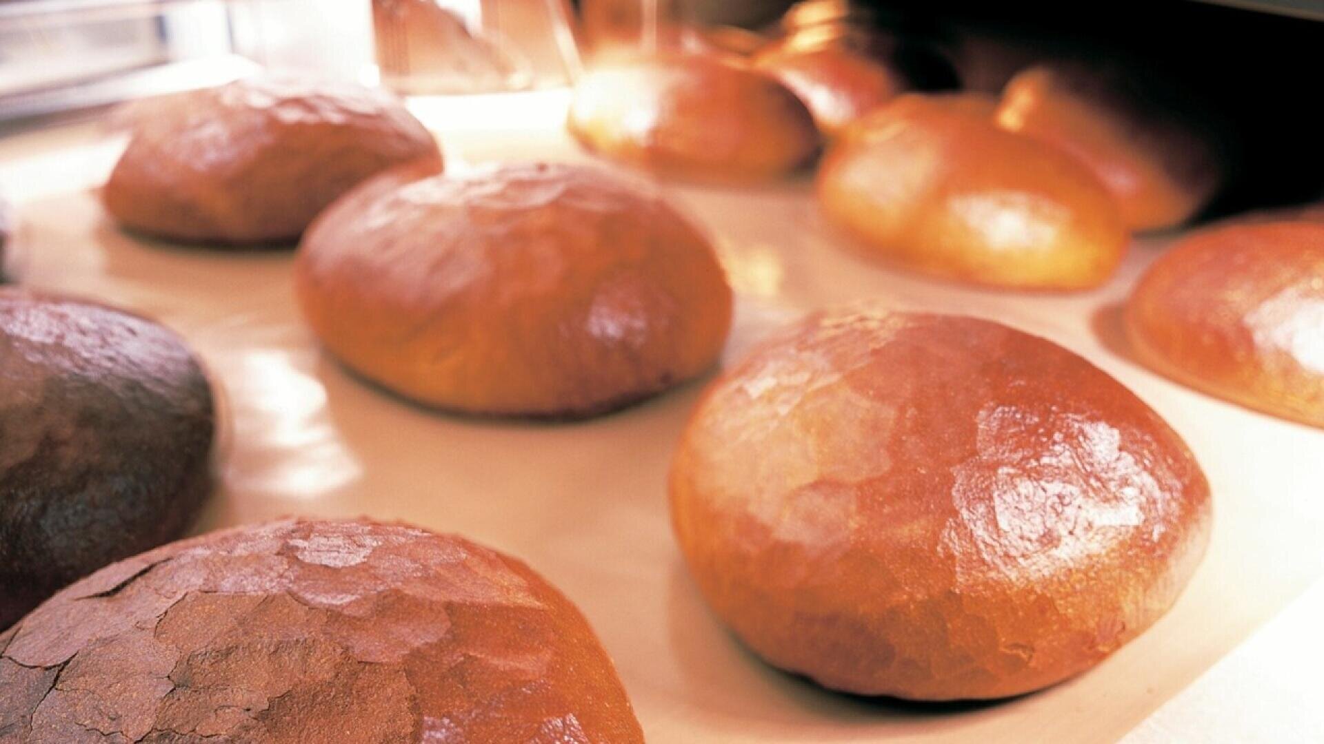Golden brown loaves of bread with shiny crusts are arranged on a baking tray, fresh out of the oven, with soft lighting highlighting their smooth, rounded tops.