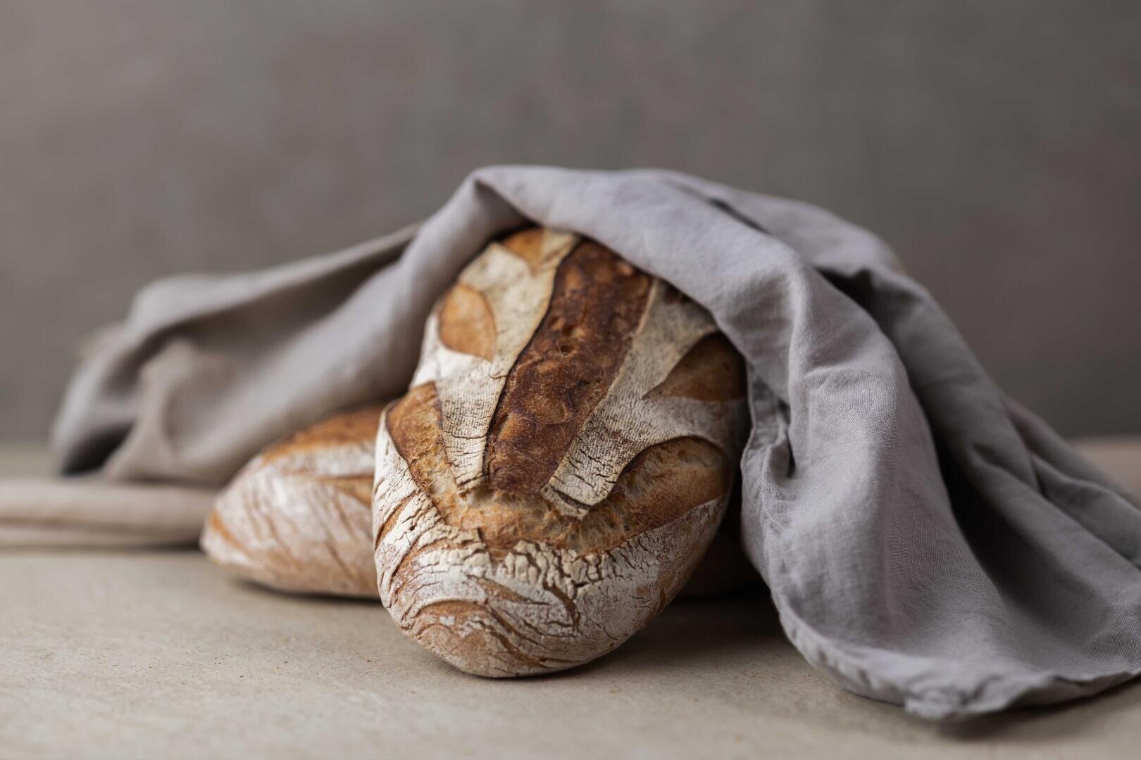 Zwei runde Laibe rustikales, handwerklich hergestelltes Brot, teilweise mit einem hellgrauen Tuch bedeckt, auf einer neutralen Oberfläche mit verschwommenem grauen Hintergrund.