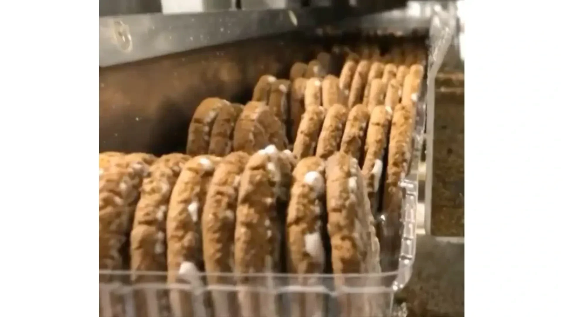 Rows of oatmeal cream pies are neatly arranged in a plastic tray, moving along a conveyor belt in a factory setting during the packaging process.
