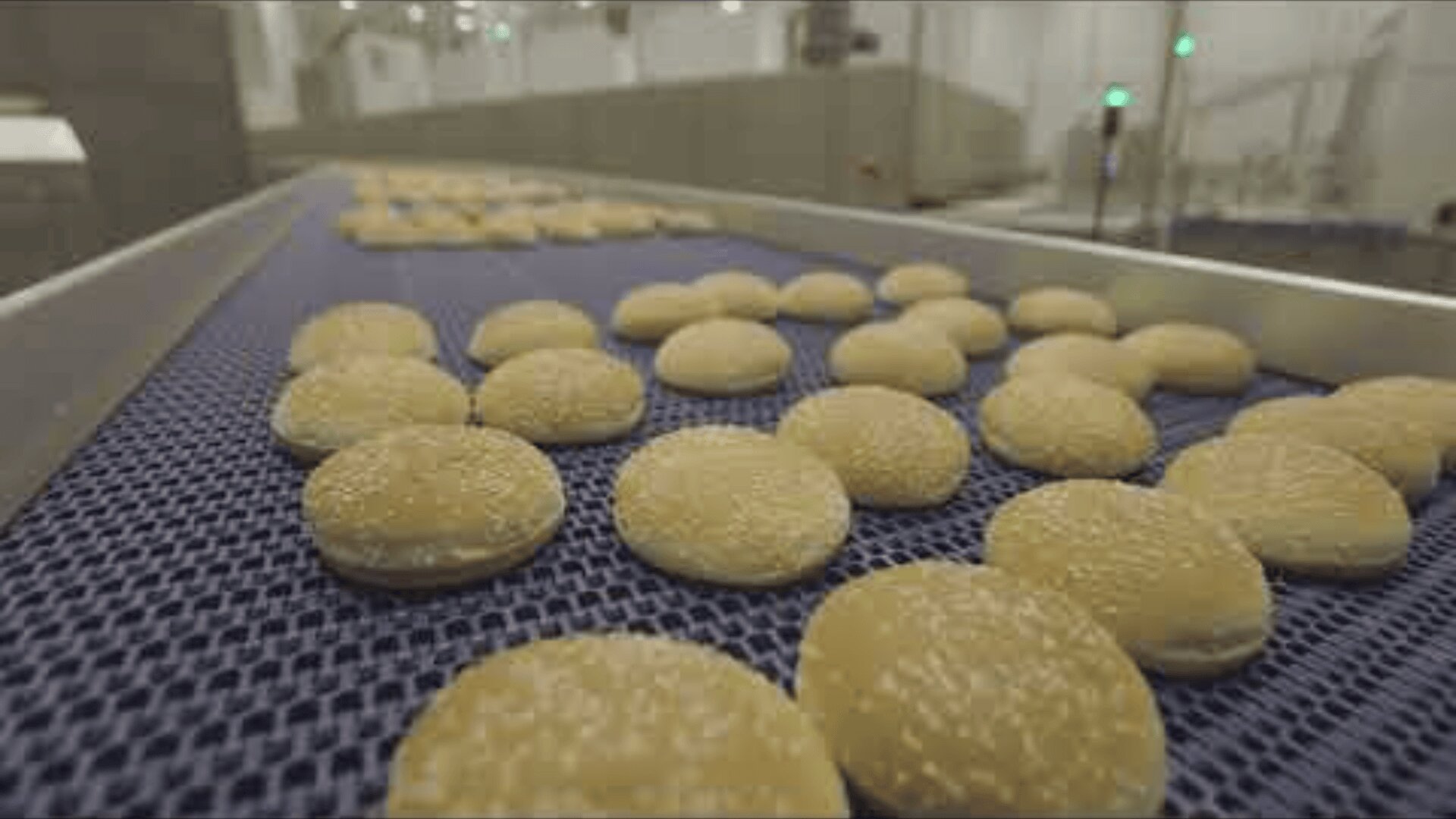Burgerbrötchen mit Sesamkörnern laufen über ein blaues Förderband in einer Fabrik, was auf eine Großbäckerei oder eine Lebensmittelproduktionsanlage schließen lässt.