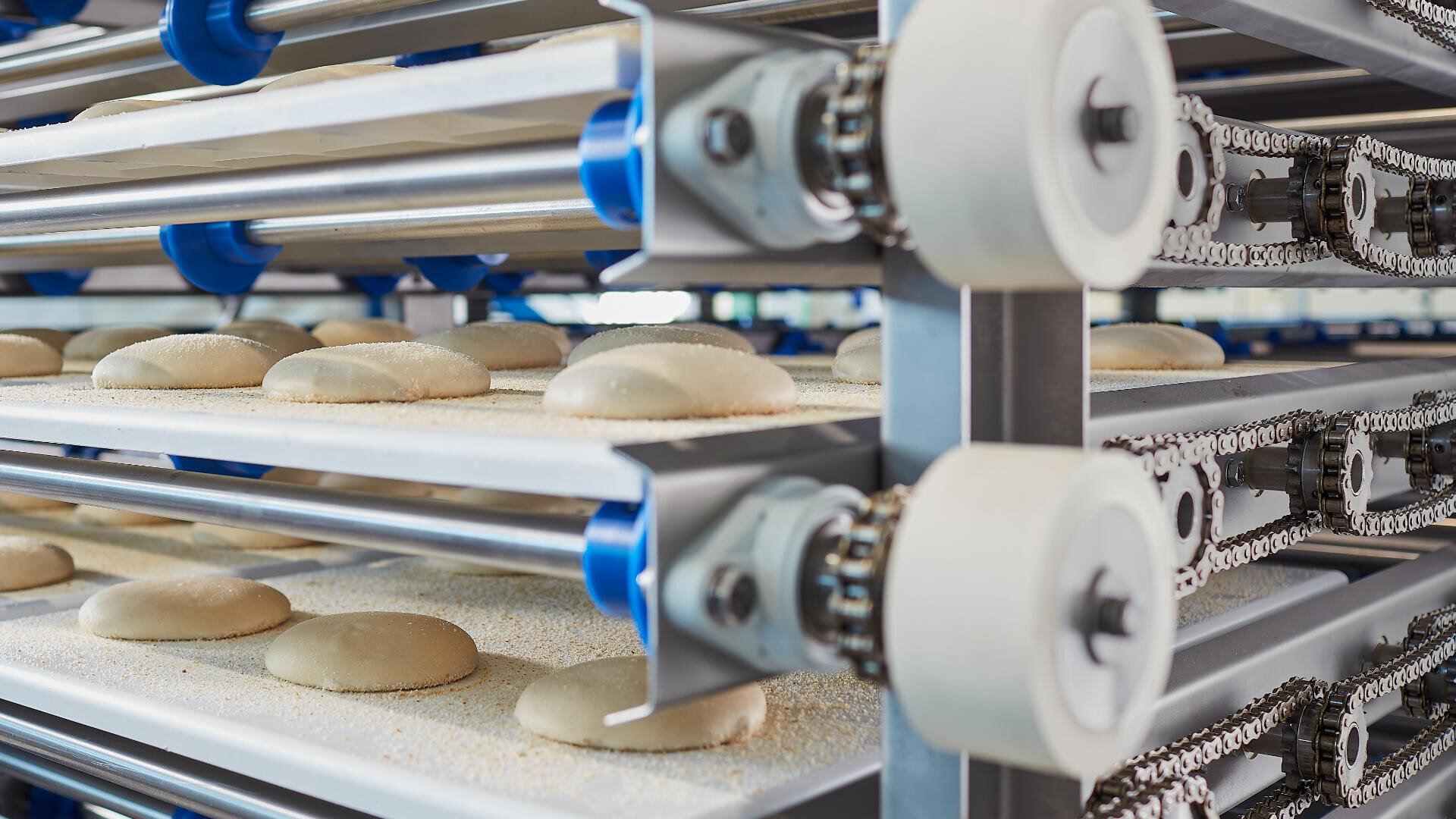 Reihen von Teiglingen auf Förderbändern bewegen sich durch eine industrielle Backmaschine, umgeben von Metallketten und Walzen in einer modernen Bäckereiproduktionslinie.