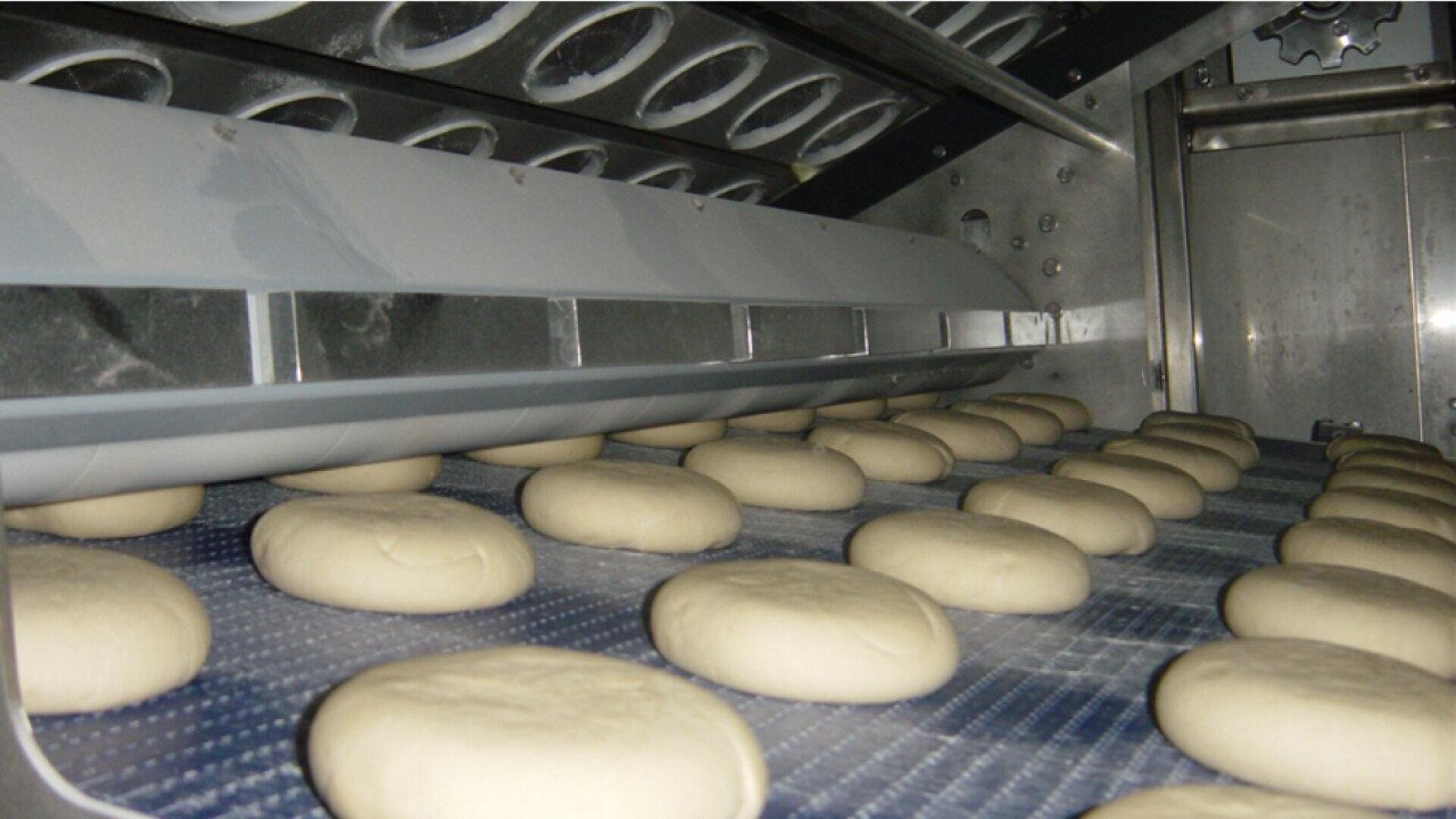 Reihen von runden Teiglingen, die sich auf einem Förderband im Inneren einer industriellen Brotbackmaschine bewegen, umgeben von Metallflächen und -geräten.