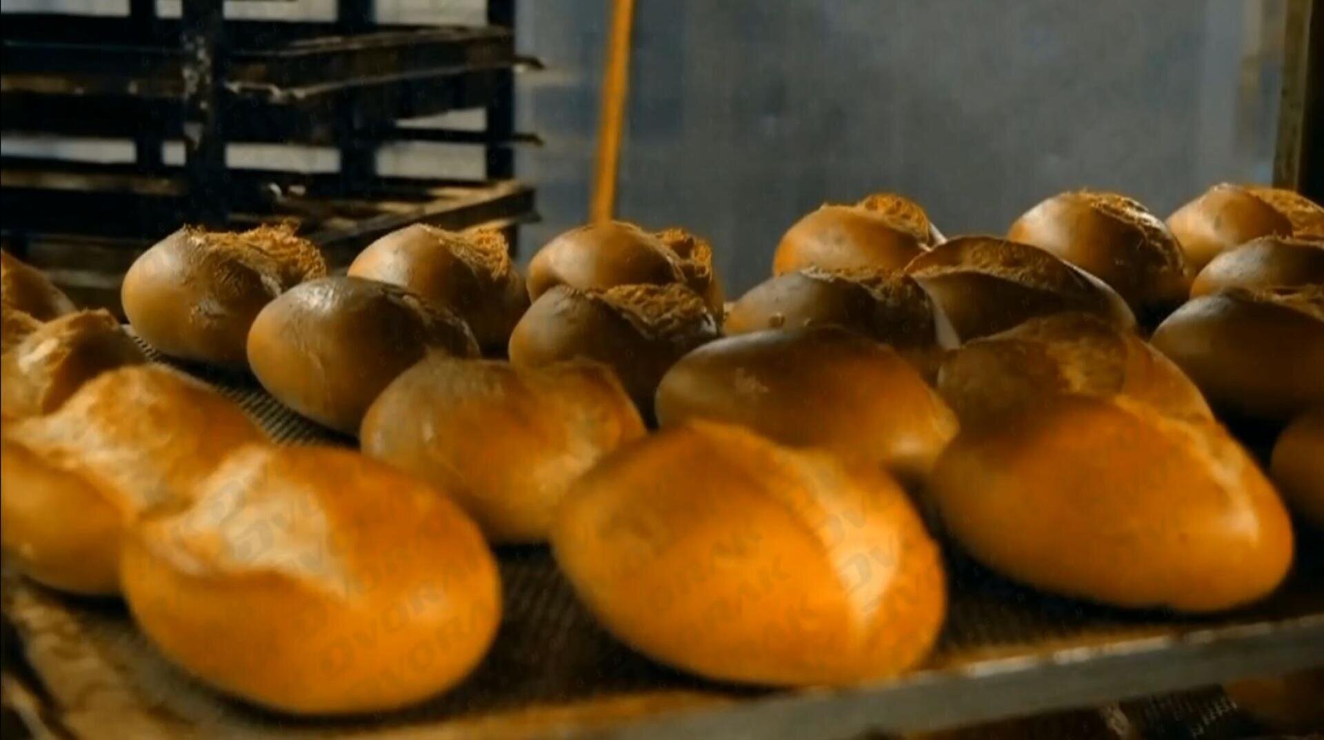 Rows of freshly baked bread rolls cooling on a metal rack in a bakery, with a tray rack visible in the background.