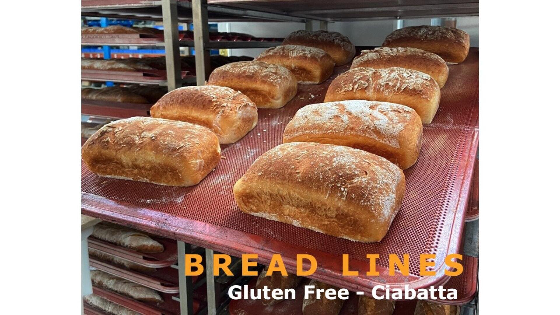 Mehrere glutenfreie Ciabatta-Brote liegen auf roten Kühlregalen in einer Bäckerei. Der Text BREAD LINES Gluten Free - Ciabatta erscheint am unteren Rand des Bildes.