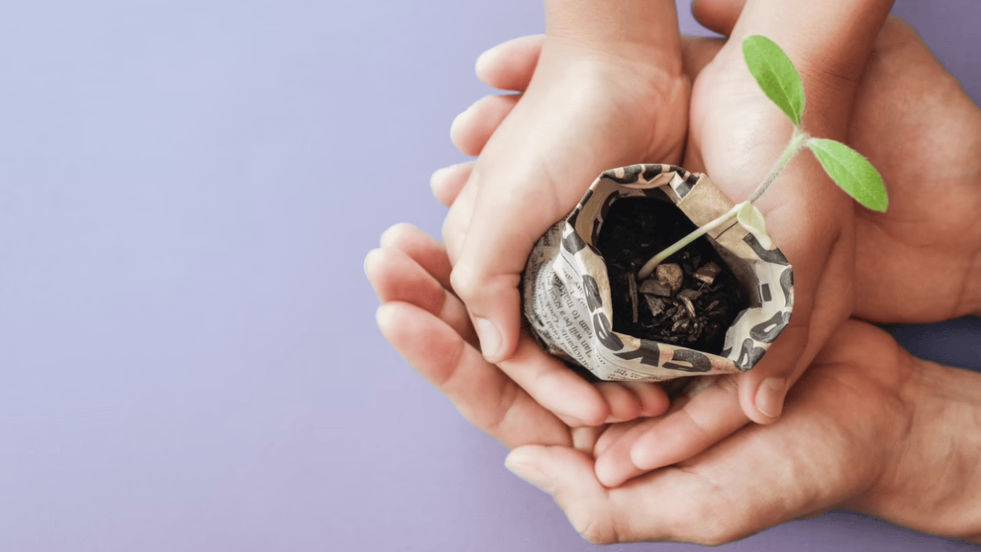 Vier Hände wiegen sanft einen kleinen Setzling, der in einem Papiertopf in der Erde wächst, und symbolisieren so Fürsorge und Pflege auf einem hellvioletten Hintergrund.