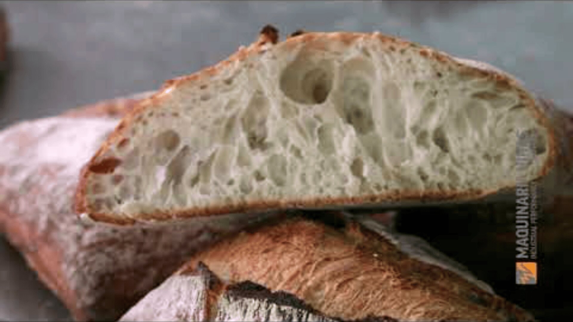 The close-up of a sliced loaf of rustic bread shows a golden crust and an airy, open crumb structure that emphasizes the texture and freshness of the bread.
