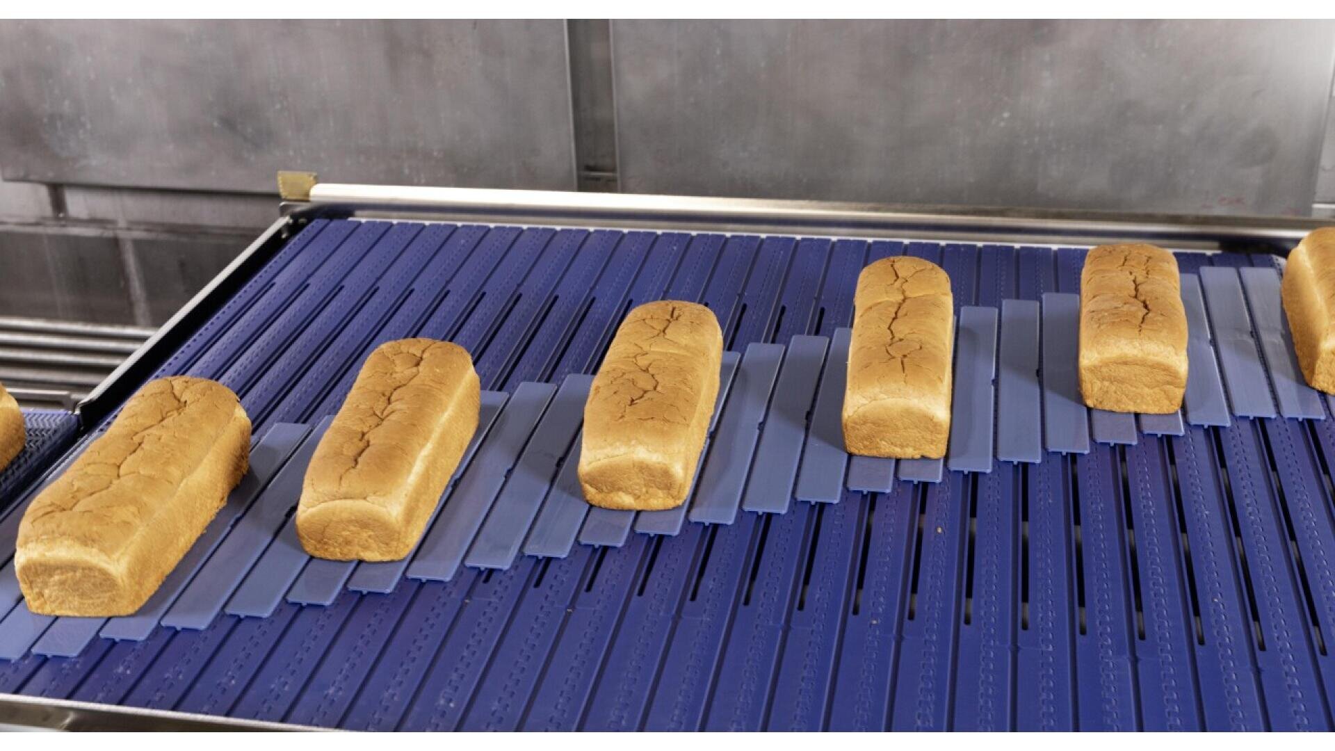 Mehrere Brotlaibe sind auf einem blauen Förderband aufgereiht, in einer Umgebung, die wie eine gewerbliche Bäckerei aussieht.