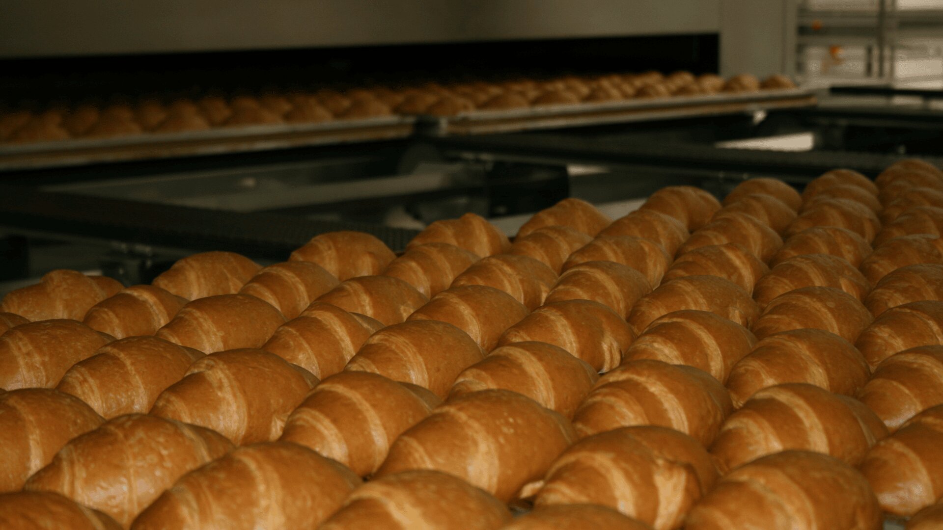Rows of freshly baked croissants on trays move through an industrial oven in a large-scale bakery, showcasing mass production of pastries.