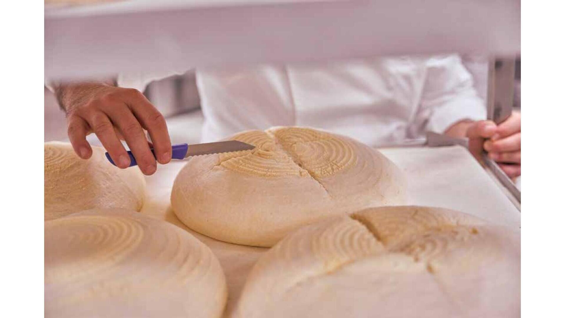 A person uses a knife to score patterns into large, round loaves of dough on a tray, preparing the bread for baking.