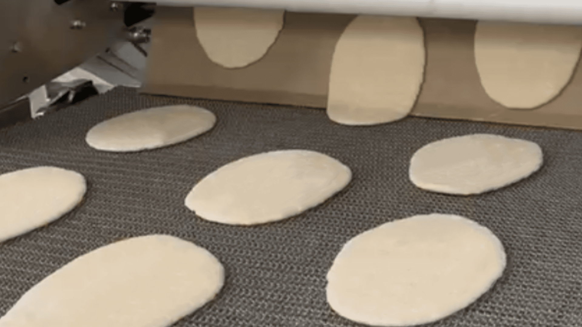 Ovale Teigstücke, die von einer Maschine in einer Bäckerei oder einem Lebensmittelproduktionsbetrieb geglättet und auf ein Förderband gelegt werden.