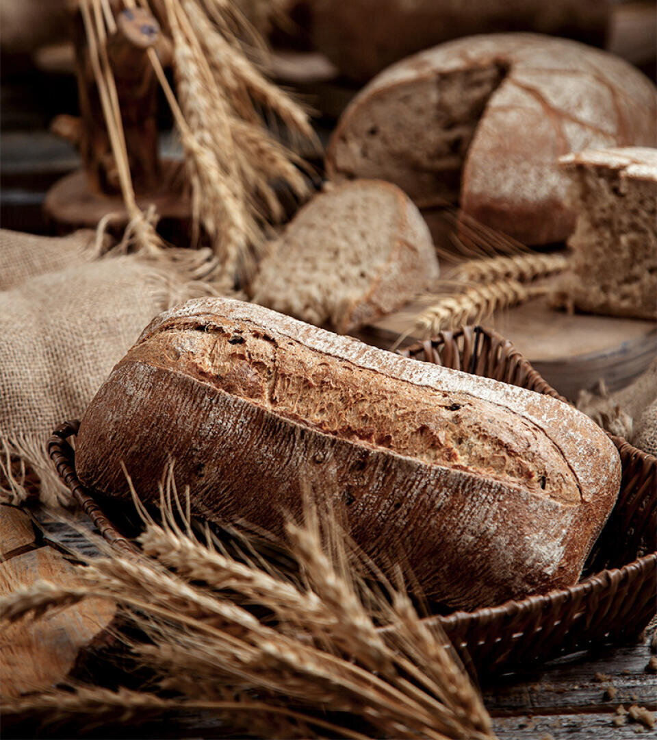 Ein rustikaler Brotlaib in einem Weidenkorb, umgeben von Weizenhalmen, Sackleinen und aufgeschnittenem Brot auf einem Holztisch, schafft eine warme, bäuerliche Atmosphäre.