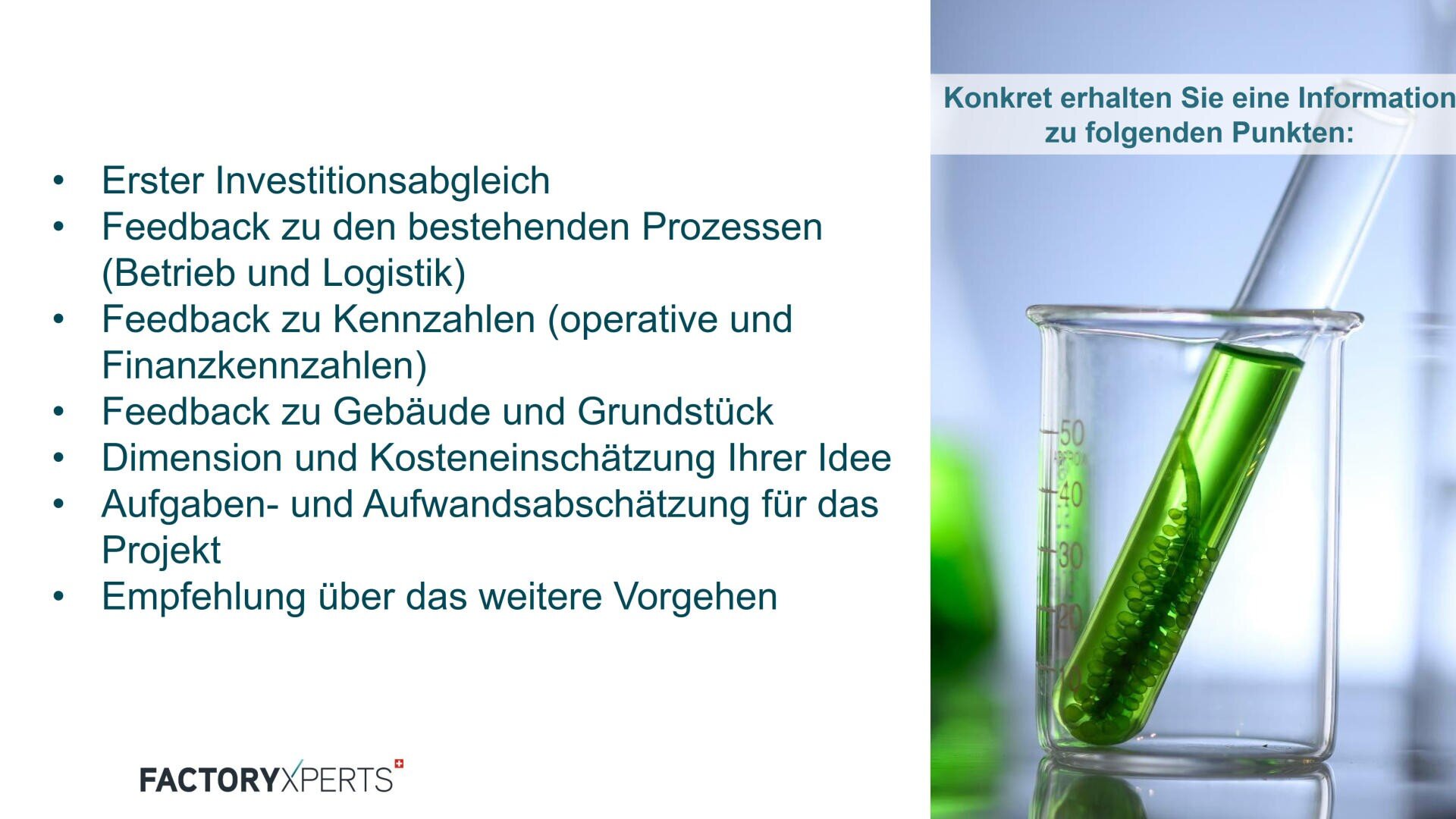 Auf der linken Seite ist eine Liste in deutscher Sprache abgebildet, in der die einzelnen Schritte der Projektbewertung aufgeführt sind. Rechts ist ein Becherglas mit einer grünen Flüssigkeit und einem Reagenzglas zu sehen, das die Analyse symbolisiert. Der Titel oben hebt Informationspunkte hervor. Das FactoryXperts-Logo befindet sich am unteren Rand.
