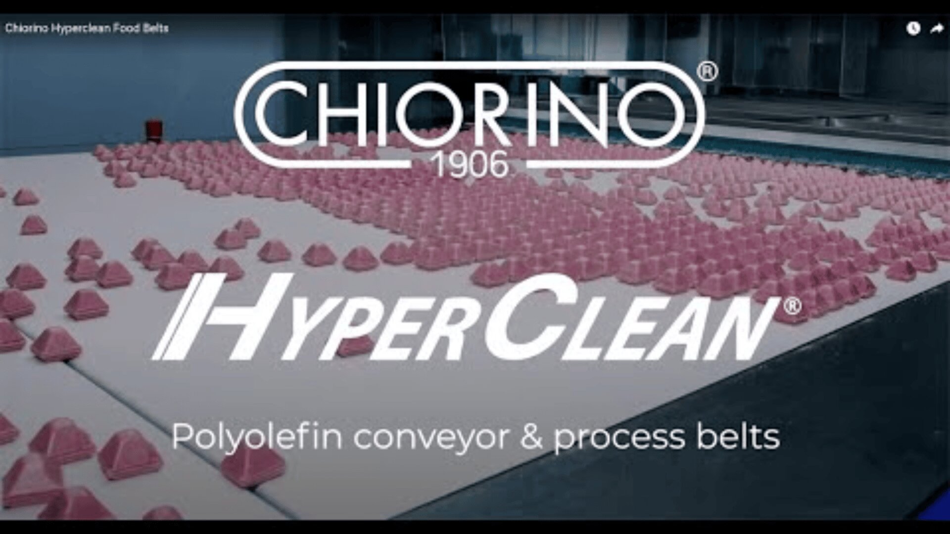 Rows of pink food items are arranged on a moving white conveyor belt in a factory. Overlaid text reads: “Chiorino 1906 HyperClean Polyolefin conveyor & process belts.”.