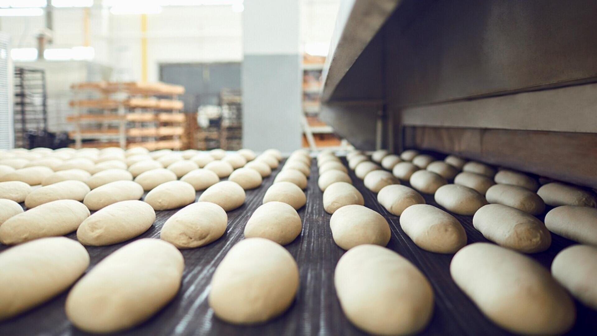 Rows of raw bread dough loaves moving on a conveyor belt in a commercial bakery, with shelves and equipment visible in the background.