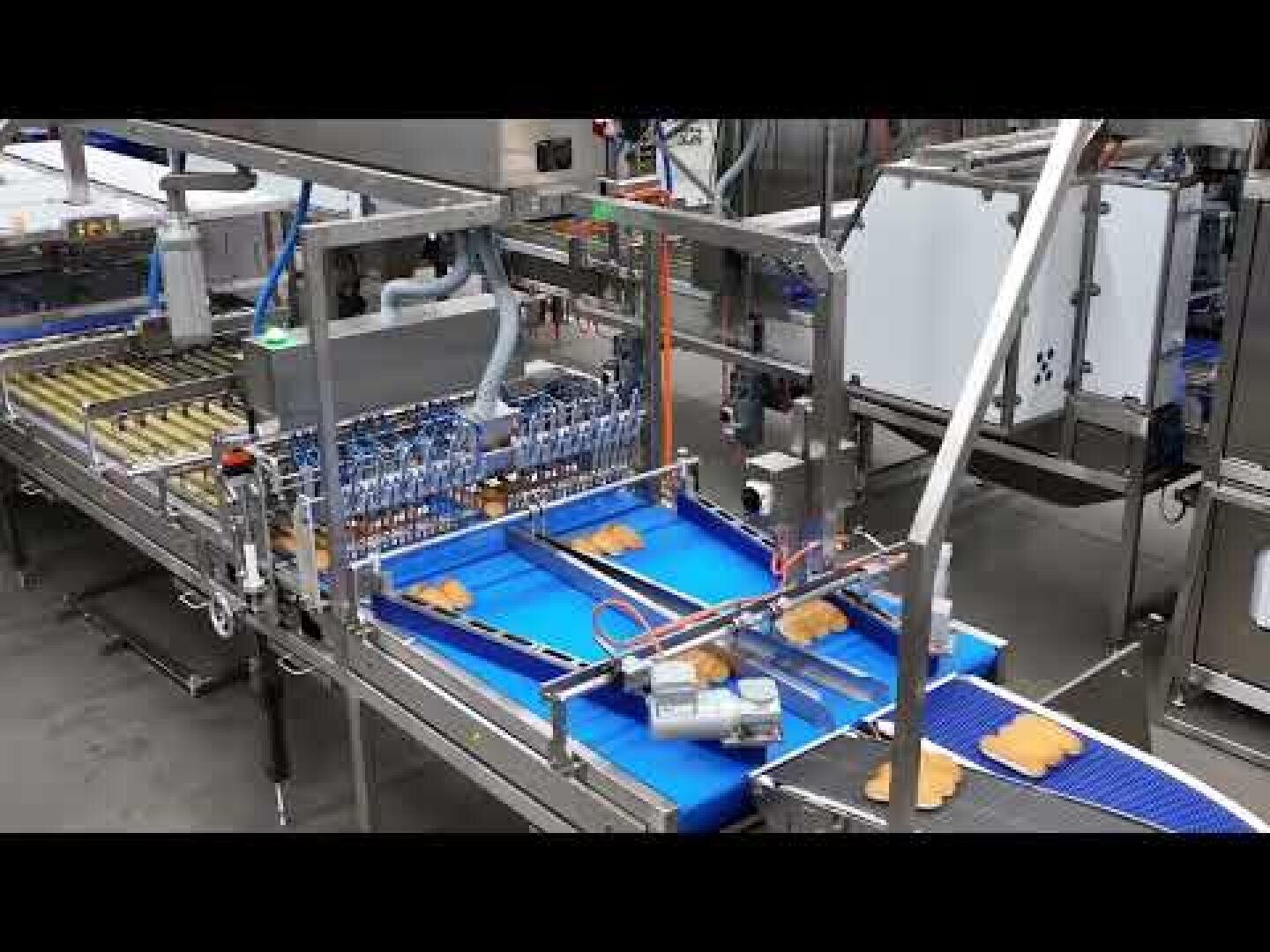 Automatisierte Lebensmittelverarbeitungsmaschinen sortieren und transportieren panierte Lebensmittel auf blauen Förderbändern in einer sauberen industriellen Fabrikumgebung.
