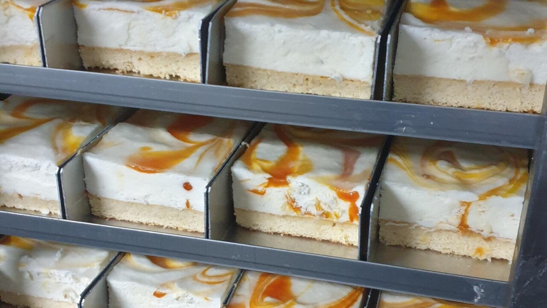 Several rectangular slices of dessert with a crumbly base, creamy white filling, and caramel swirls on top, arranged in rows separated by metal dividers.