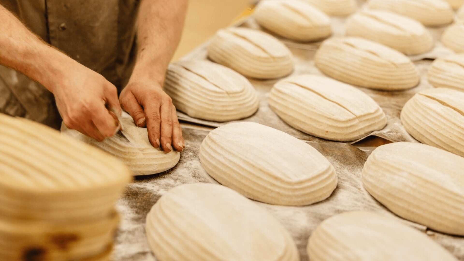 A bakers hands score patterns onto rows of unbaked loaves of bread on a floured surface, preparing them for baking. The loaves are oval-shaped and arranged neatly.