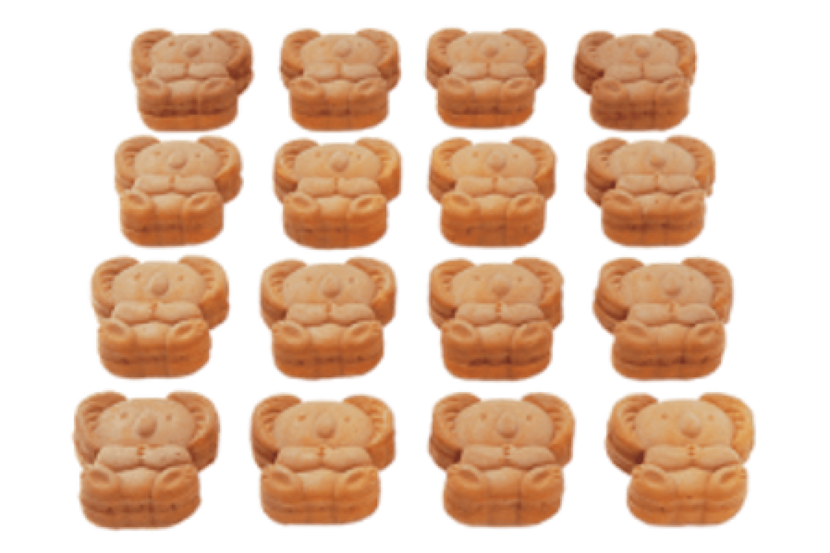 Fünfzehn koalaförmige Kekse, angeordnet in einem Gittermuster auf weißem Hintergrund.