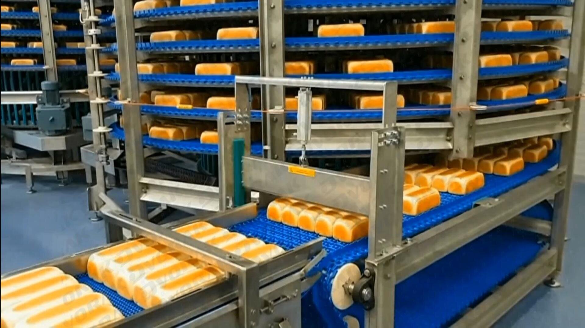 Rows of loaves of bread move on blue conveyor belts in a bread factory, surrounded by metal machinery and automated equipment.