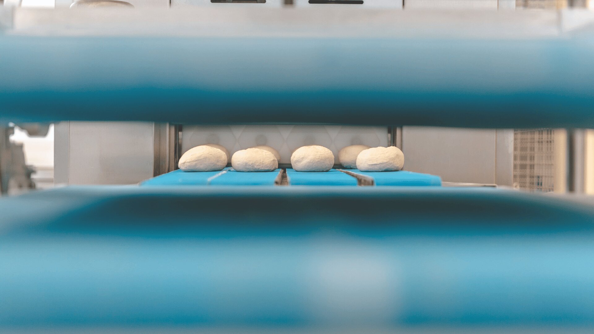 Four round dough balls are lined up on a blue conveyor belt, viewed through a gap in bakery machinery, suggesting an automated bread or pastry production process.
