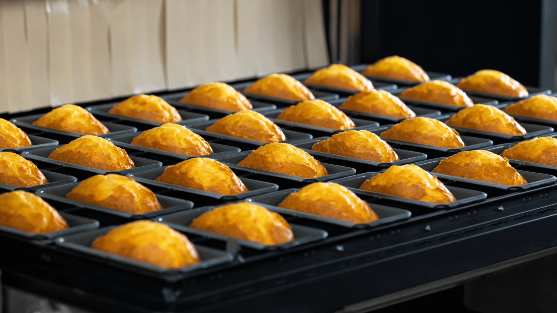 Rows of freshly baked golden-brown cakes are cooling in black rectangular pans, neatly arranged on a baking rack in a commercial kitchen.