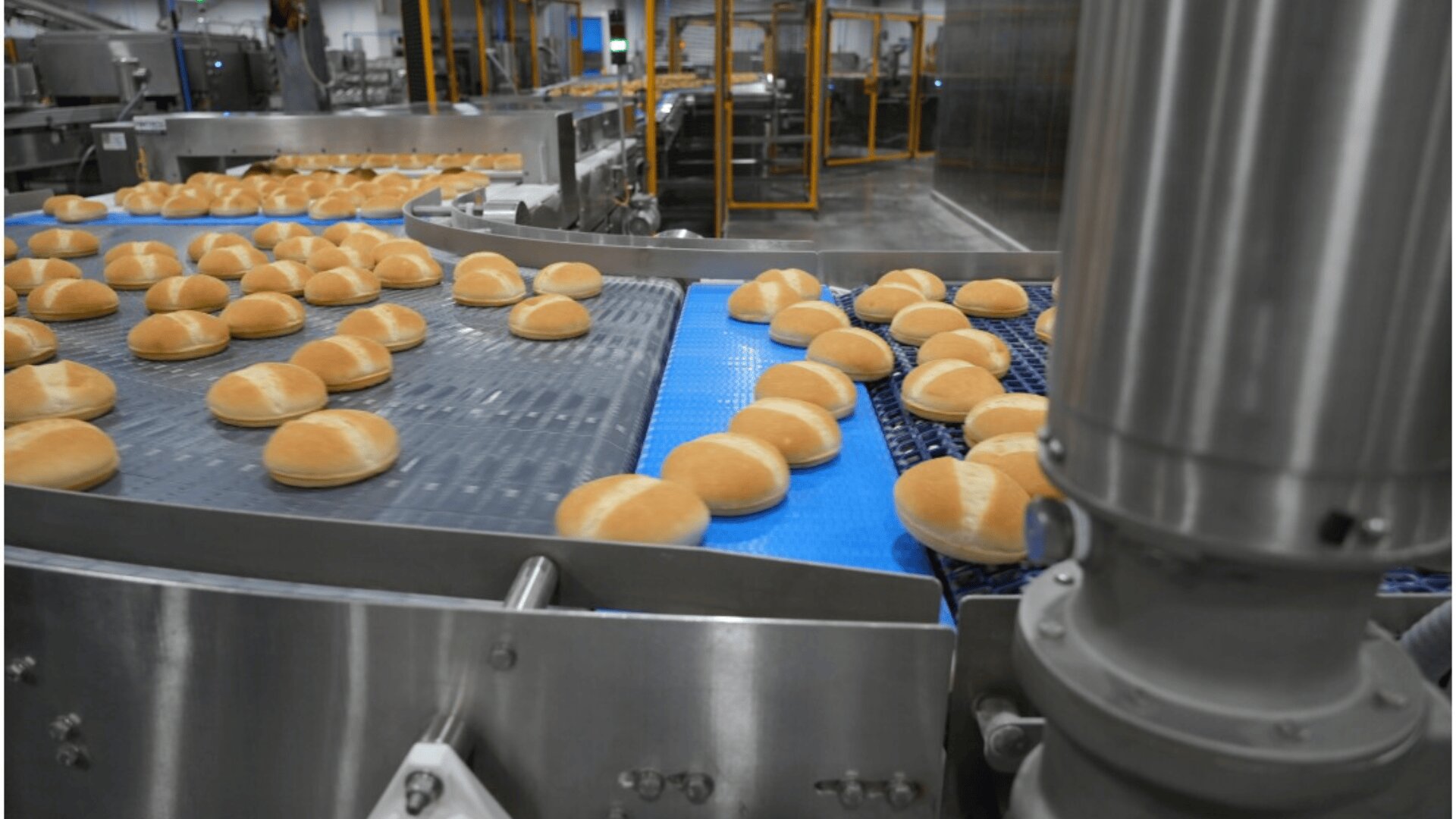 Reihen runder Sandwichbrötchen werden auf einem blauen Förderband in einer Großbäckerei transportiert. Im Hintergrund sind Metallmaschinen und Sicherheitsbarrieren zu sehen.