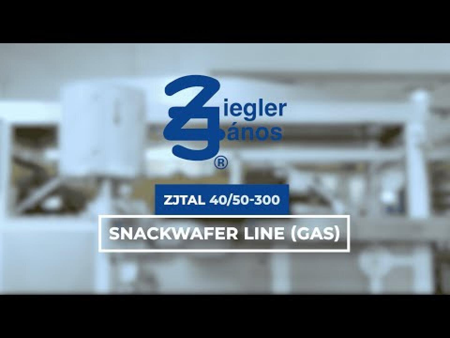 Unscharfer Hintergrund von Fabrikmaschinen mit dem blauen Logo von Ziegler Ános über weißem Text mit der Aufschrift „ZJTAL 40/50-300“ und „SNACKWAFER LINE (GAS)“ in einem rechteckigen Rahmen.