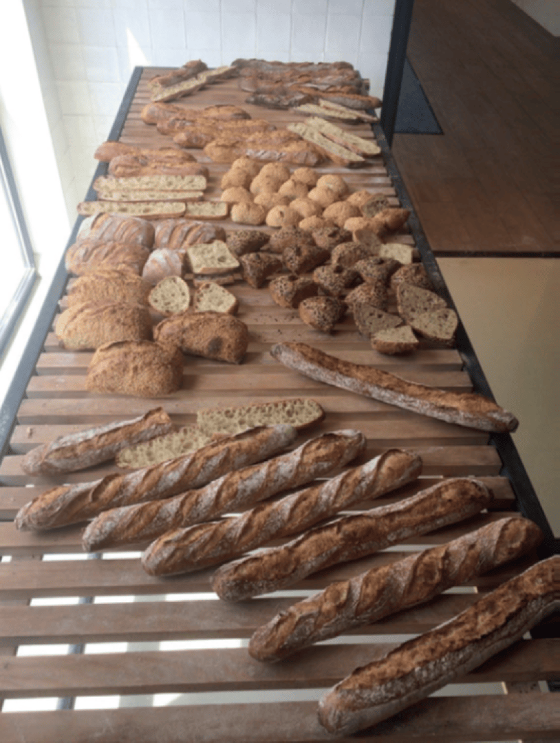 Auf einem hölzernen Lattentisch an einem Fenster in einer Bäckerei liegen verschiedene frisch gebackene Brotsorten, darunter Baguettes, Brote, Brötchen und Schnittbrot.