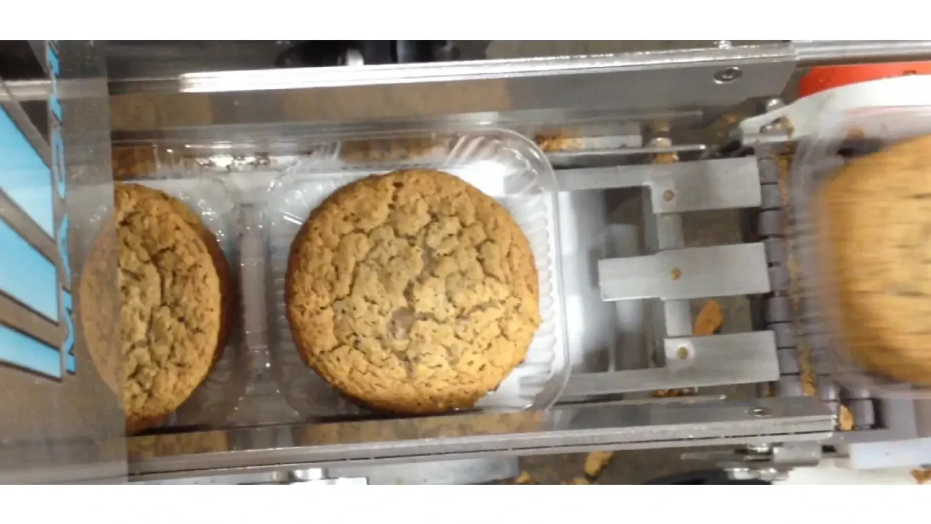 A top-down view of round cookies being packaged in clear plastic trays on a conveyor belt in a factory setting.