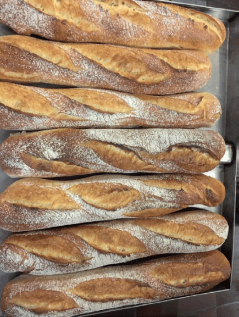 Mehrere frisch gebackene Baguettes liegen in ordentlichen Reihen auf einem Metalltablett. Sie haben eine goldbraune Kruste, die mit Mehl bestäubt ist und an der Oberseite schräg eingeschnitten ist.