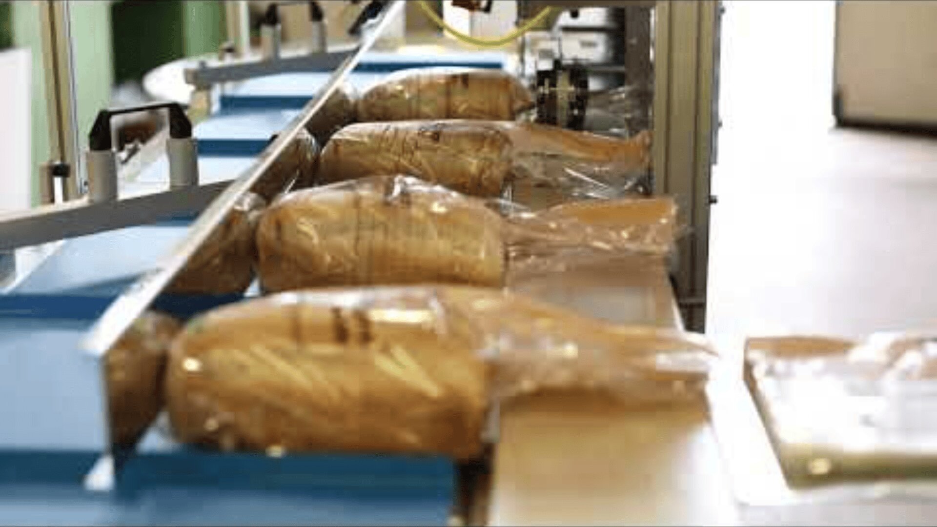 Loaves of bread wrapped in plastic move along a conveyor belt in a bakery or food processing facility.