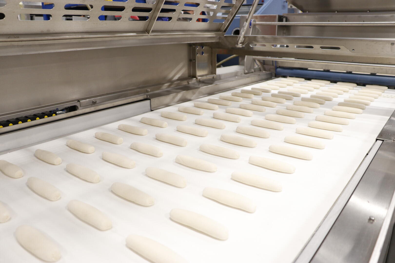 Rows of evenly spaced, unbaked bread dough pieces move along a conveyor belt in an industrial bakery setting, surrounded by stainless steel machinery.