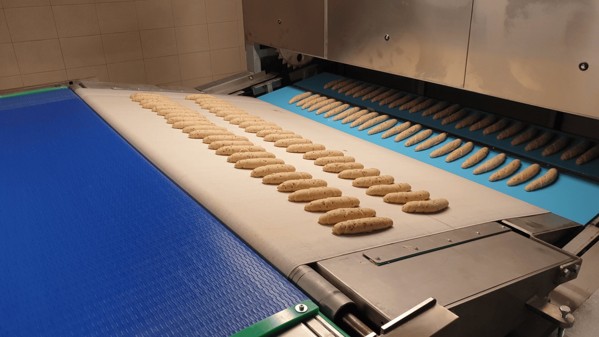 Rows of uncooked breadsticks are lined up on a conveyor belt inside an industrial bakery, moving through a machine for processing.