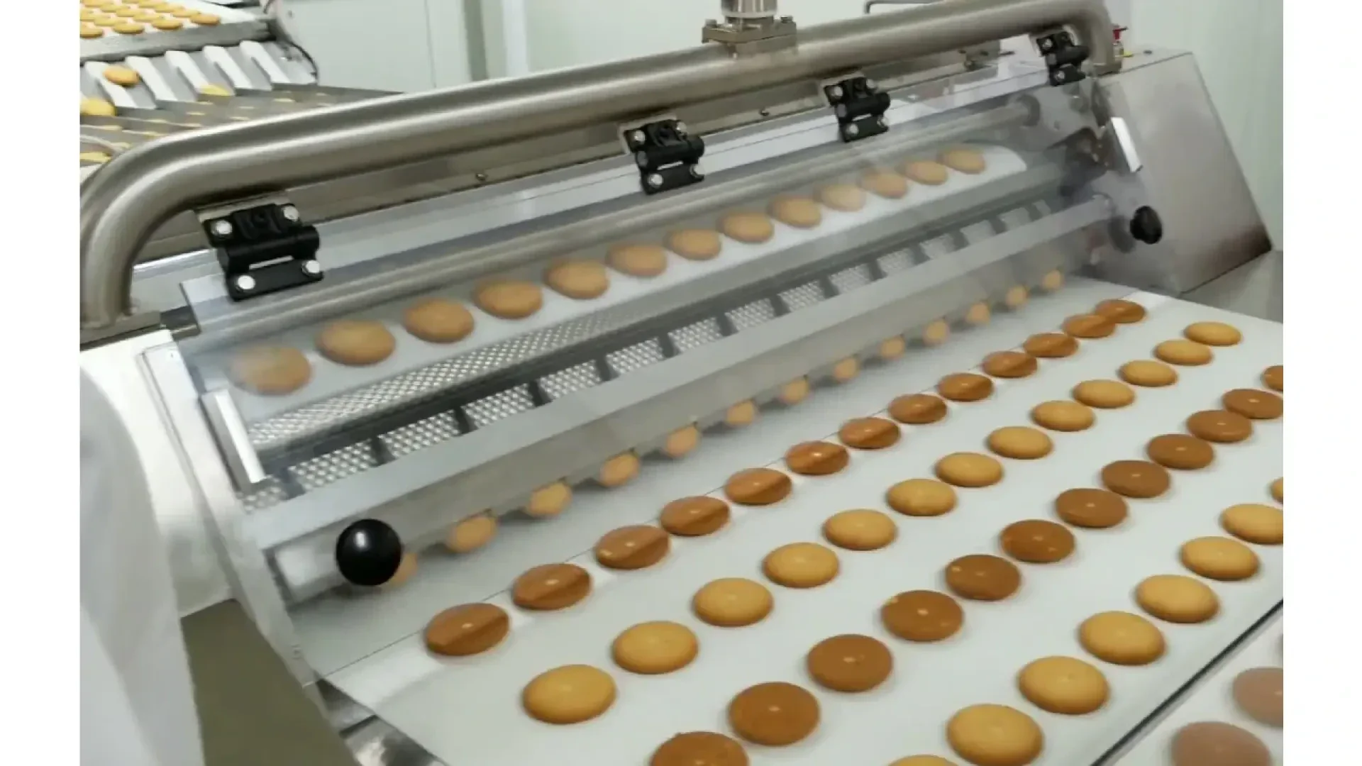 Rows of round cookies move along a conveyor belt in a food processing machine, with uniform spacing and a shiny metal structure in a clean industrial setting.