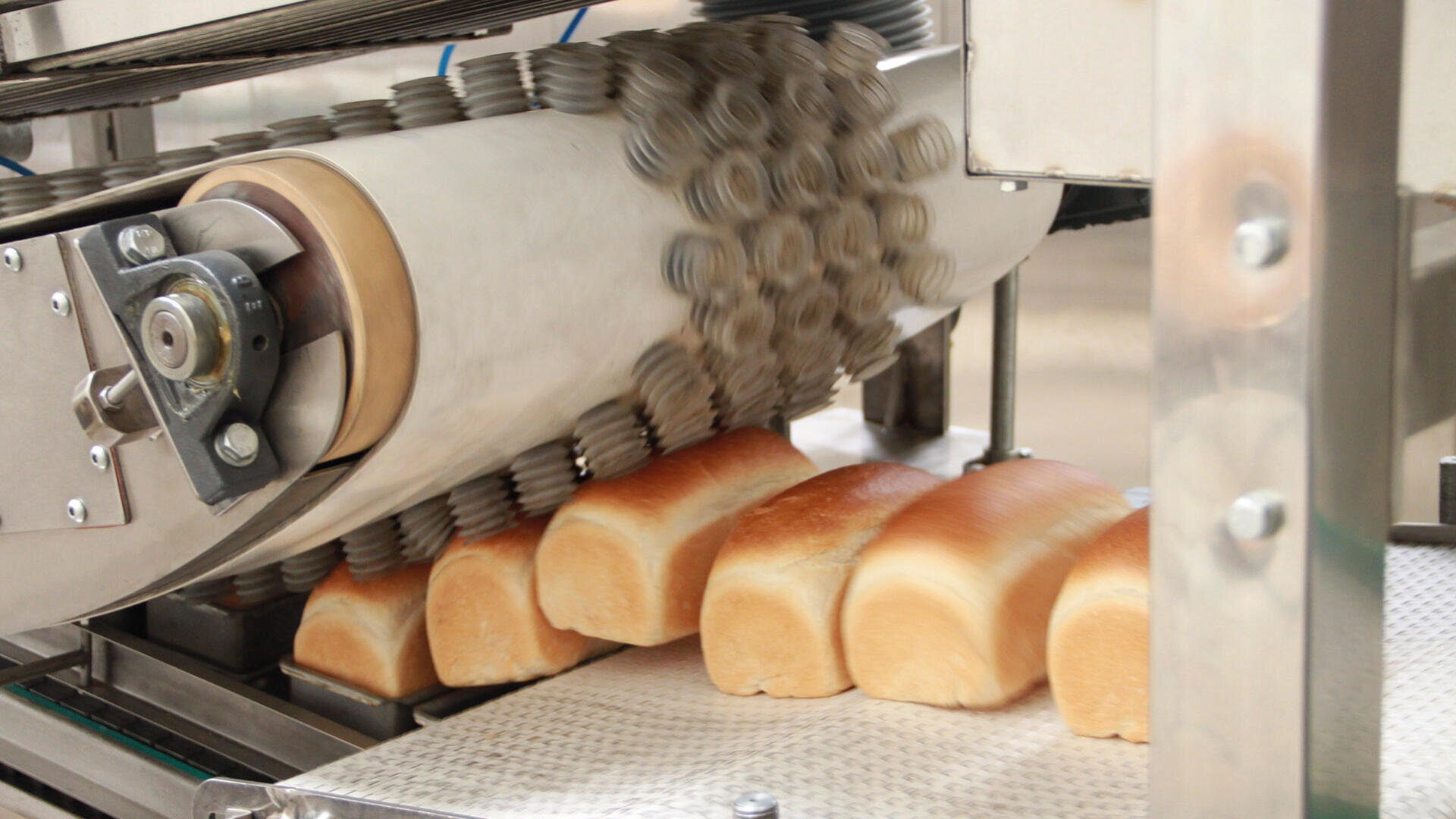Several loaves of bread move on a conveyor belt under a mechanical device with multiple rollers, likely in an industrial bakery setting for automation and processing.