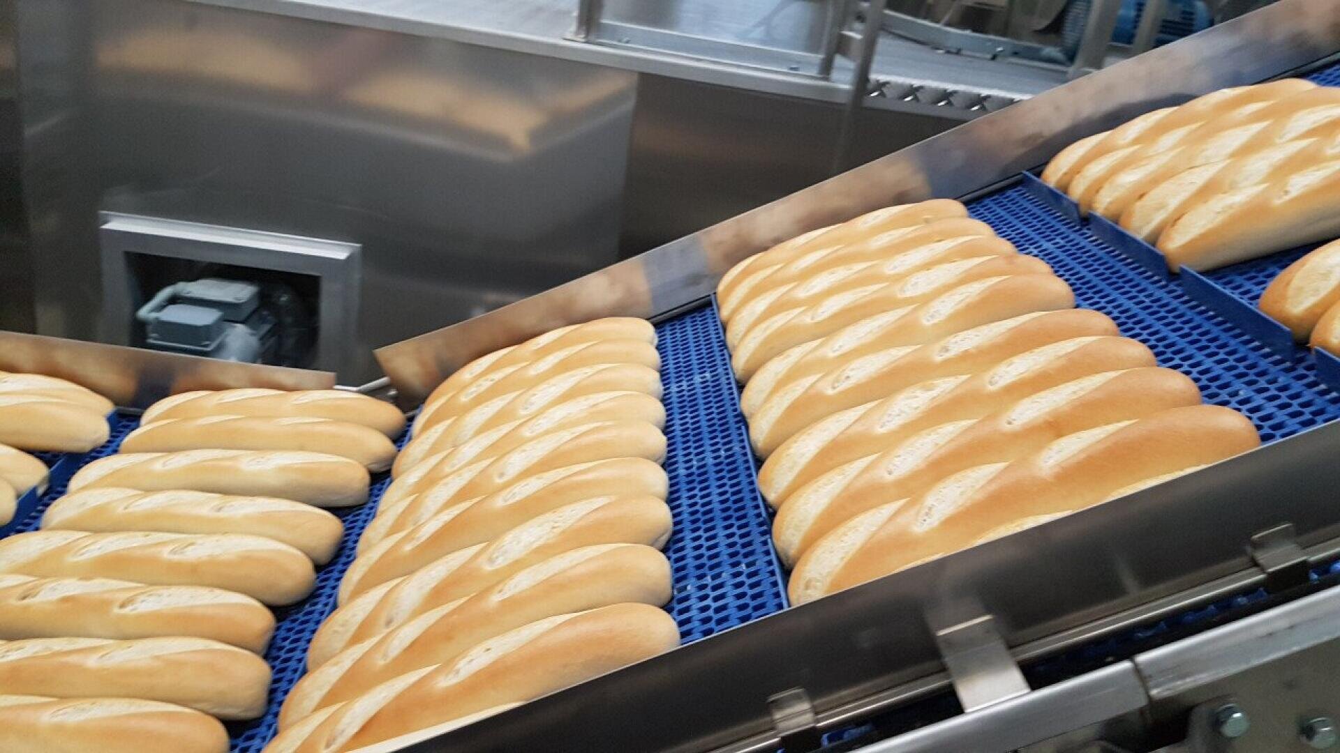 In einer Bäckerei oder Brotfabrik laufen Reihen von frisch gebackenen Baguettes über ein blaues Förderband, umgeben von Maschinen aus Edelstahl.