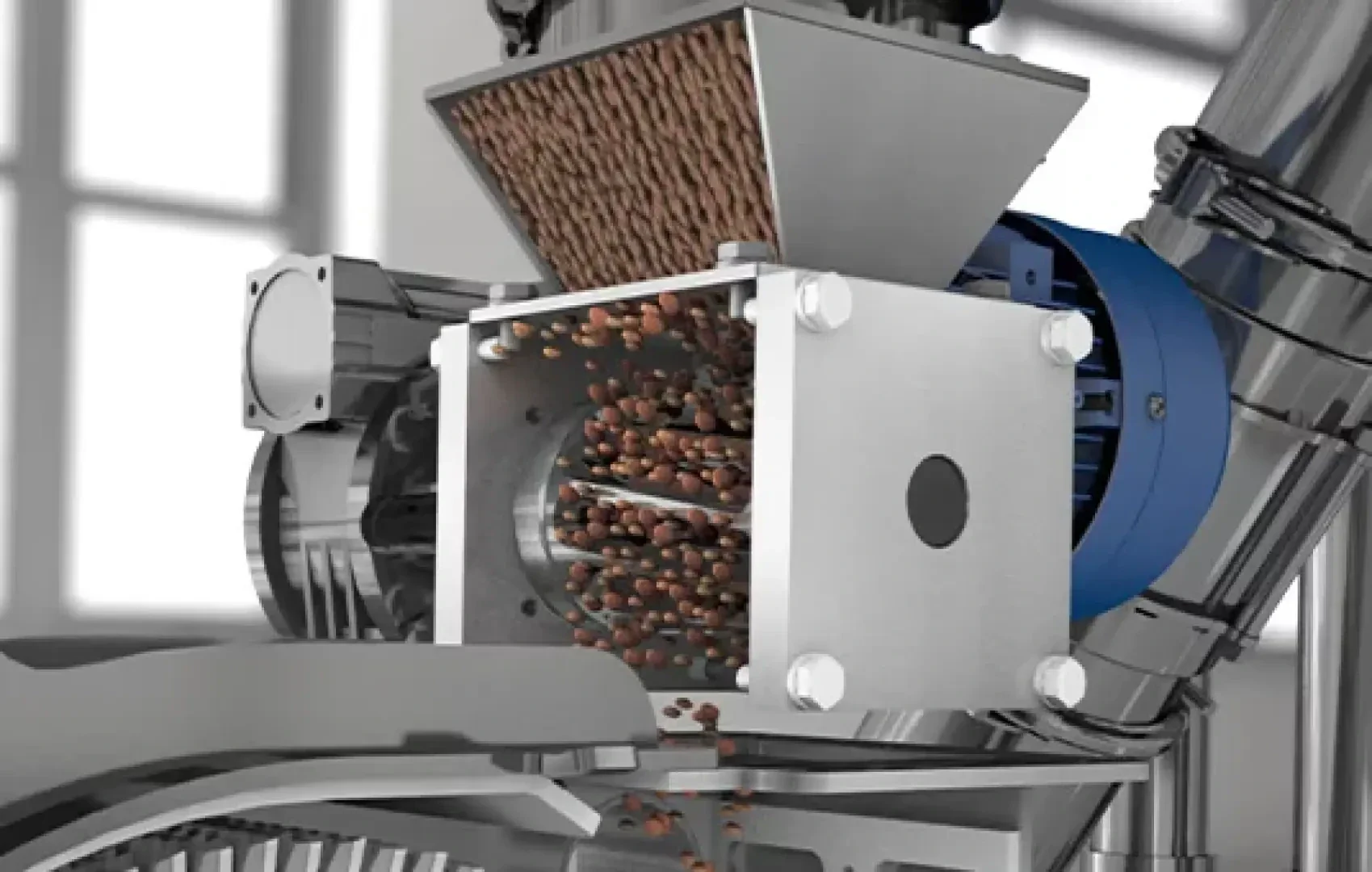 Nahaufnahme einer Maschine, die braune Nüsse oder Samen verarbeitet, wobei die Teile aus einem Metalltrichter in eine geschlossene Kammer fallen, die von Industrieanlagen in einer hellen, modernen Anlage umgeben ist.