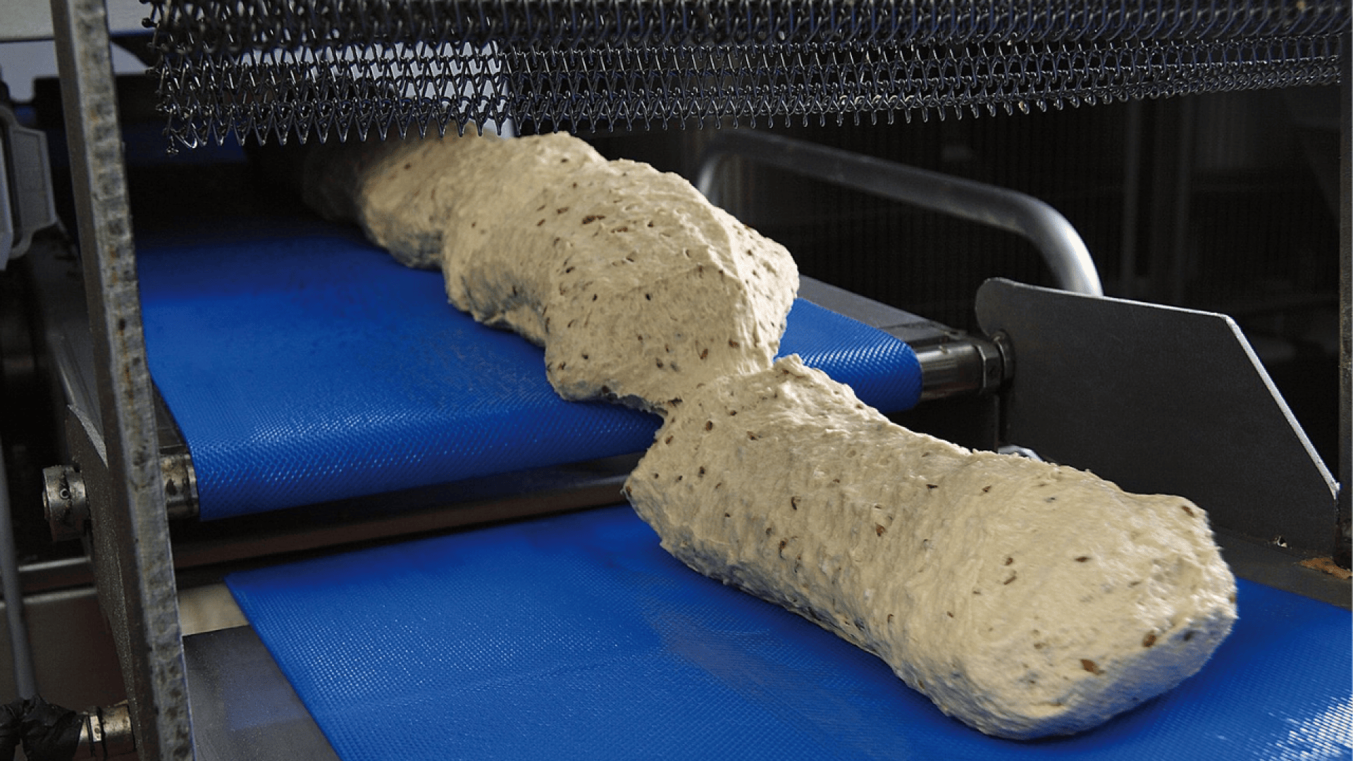 Eine Nahaufnahme von Brotteig, der sich auf einem blauen Förderband in einer industriellen Bäckerei bewegt, mit Maschinen, die den Teig durch die Produktionslinie führen.