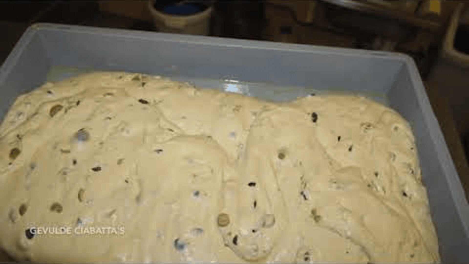A large tray filled with raw ciabatta dough, speckled with olives, rests in a container, ready for baking. The dough appears airy and sticky.
