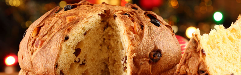 1_800x250px.jpg (0.1 MB)